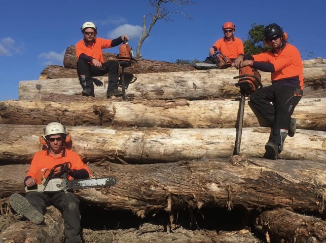 AQF Level 5 arborist group sitting on some logs