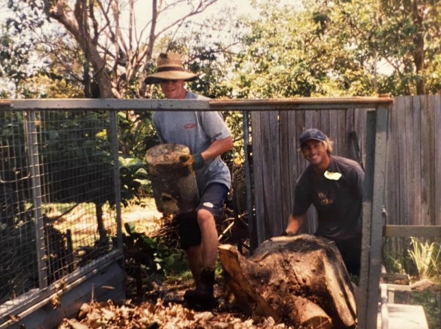 Early Tree Removal Work