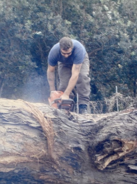 Cutting Large Tree