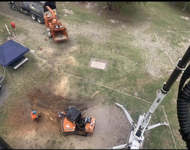 POV of an Arborist Watching Arborists Using The Bandit Machine