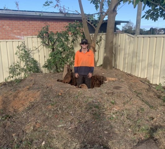 Nicolas Standing in Hole of what was once a Large Tree Removal