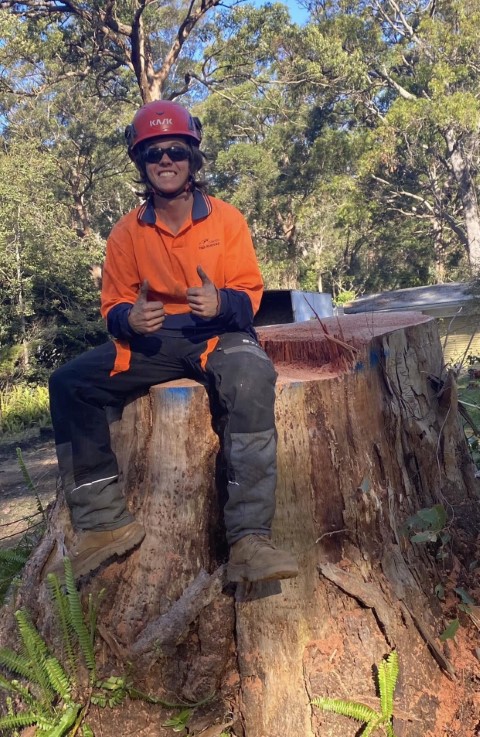Nicolas Sitting On a Tree Stump