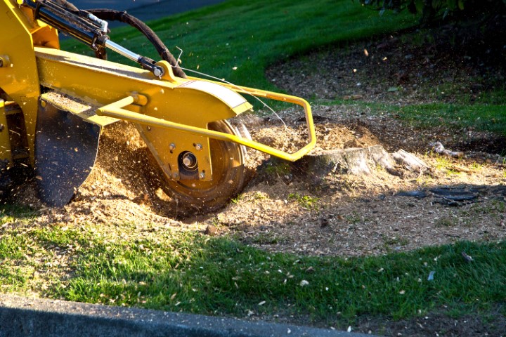 Crew Grinding a Stump Below Ground; To Result in a Clean Finish and a Clean Result